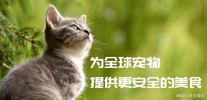 心品质引领宠物食品新风尚mg不朽情缘汉欧宠物：匠(图2)