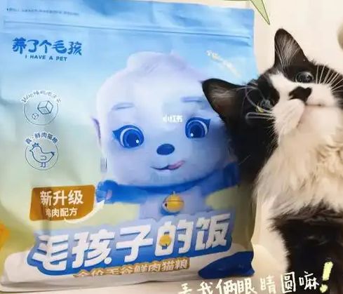 子口粮！三只松鼠靠什么重返宠物食品赛道不朽情缘平台登录入口零食巨头盯上毛孩(图3)