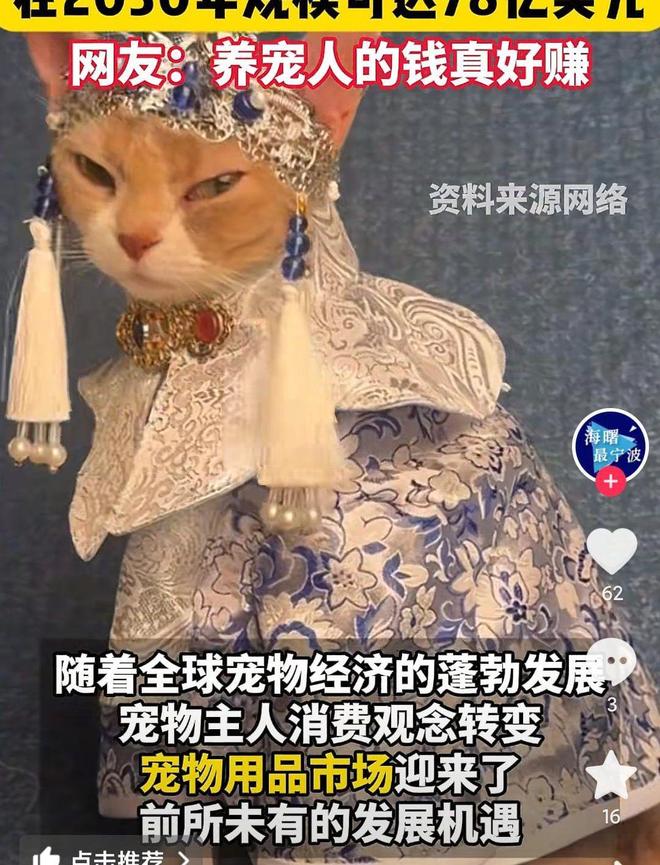 婴幼儿奶粉2倍！网友：活的猫狗还不如不朽情缘平台猫狗一年消费3000亿是(图2)
