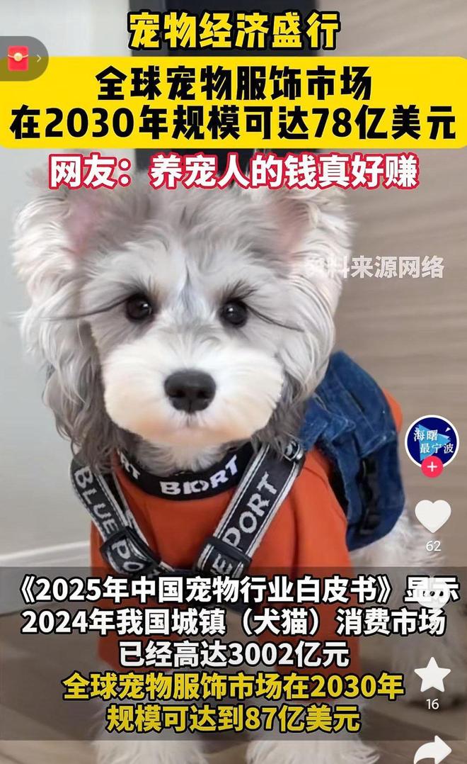婴幼儿奶粉2倍！网友：活的猫狗还不如不朽情缘平台猫狗一年消费3000亿是(图3)