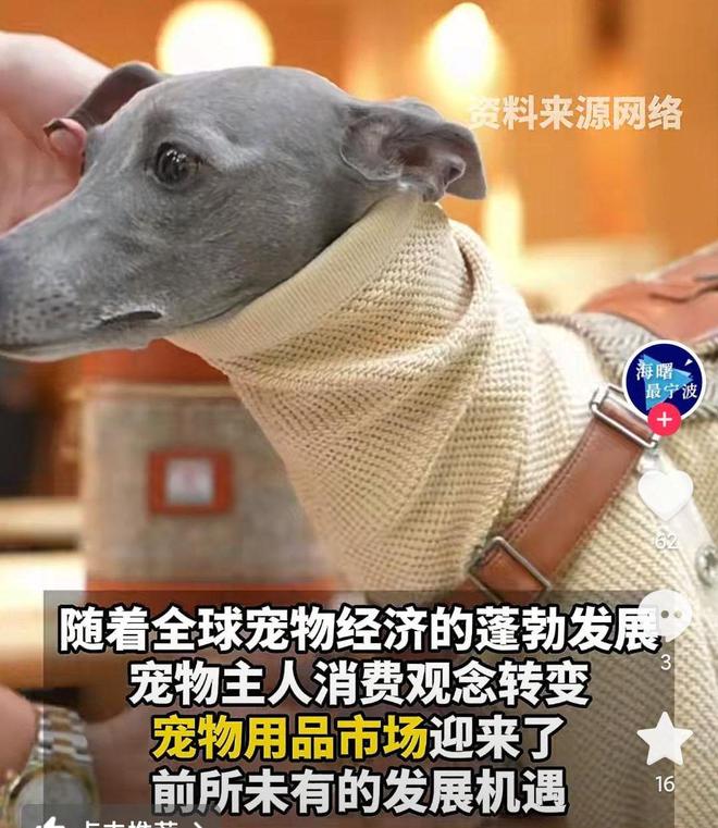 婴幼儿奶粉2倍！网友：活的猫狗还不如不朽情缘平台猫狗一年消费3000亿是(图4)