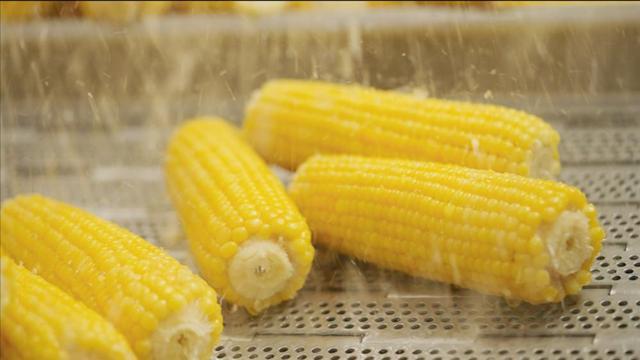 联名款产品打造跨界“新食尚”不朽情缘app十月稻田IP(图2)