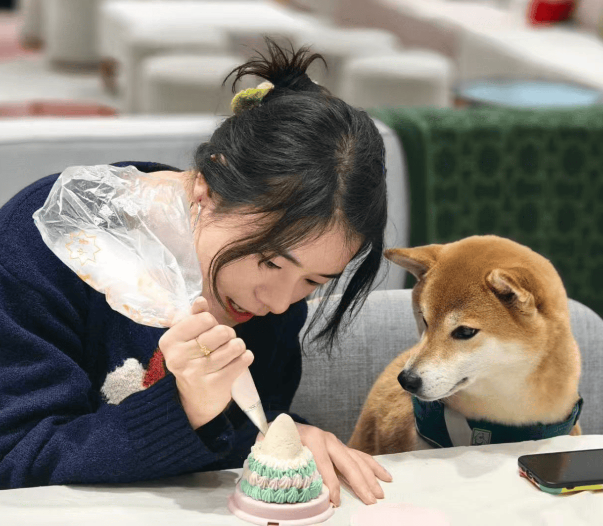 物月饼热销还可量身定制有商家一周内售出上千枚不朽情缘登录入口“毛孩子”也过中秋！成都宠(图4)