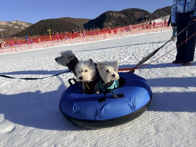 冰雪季开幕 打造京津冀文旅休闲新地标mg不朽情缘游戏平台北京平谷第十七届